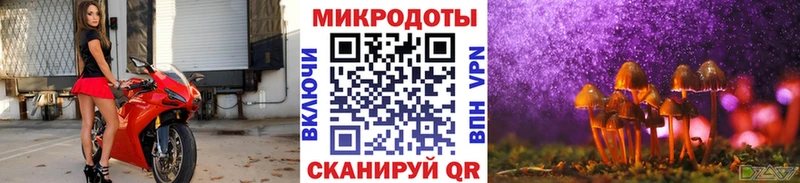 ссылка на мегу как войти  Тайга  Псилоцибиновые грибы прущие грибы 